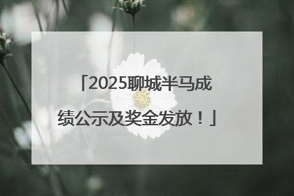 2025聊城半马成绩公示及奖金发放！