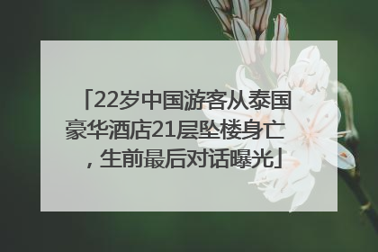 22岁中国游客从泰国豪华酒店21层坠楼身亡，生前最后对话曝光