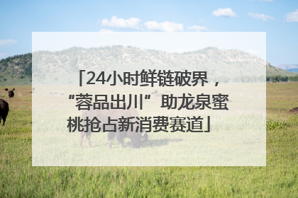 24小时鲜链破界，“蓉品出川”助龙泉蜜桃抢占新消费赛道