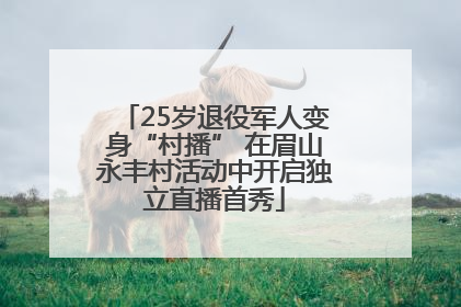 25岁退役军人变身“村播” 在眉山永丰村活动中开启独立直播首秀