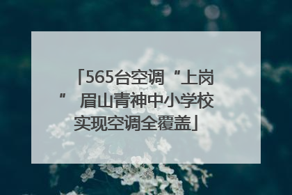 565台空调“上岗” 眉山青神中小学校实现空调全覆盖