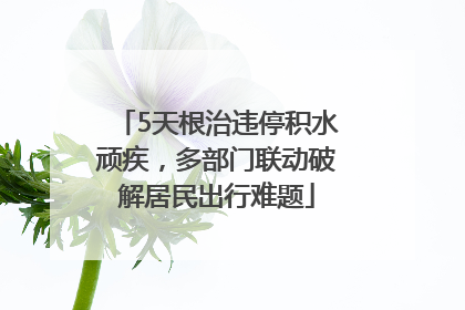 5天根治违停积水顽疾，多部门联动破解居民出行难题