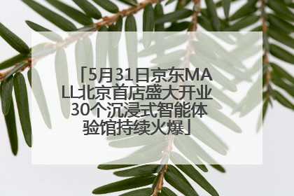 5月31日京东MALL北京首店盛大开业 30个沉浸式智能体验馆持续火爆
