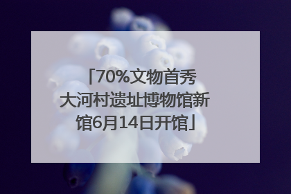 70%文物首秀 大河村遗址博物馆新馆6月14日开馆