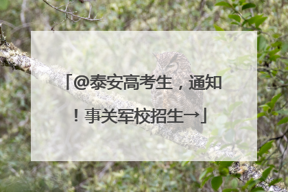 @泰安高考生，通知！事关军校招生→