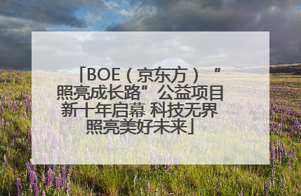 BOE（京东方）“照亮成长路”公益项目新十年启幕 科技无界照亮美好未来