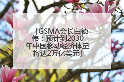 GSMA会长白德伟：预计到2030年中国移动经济体量将达2万亿美元