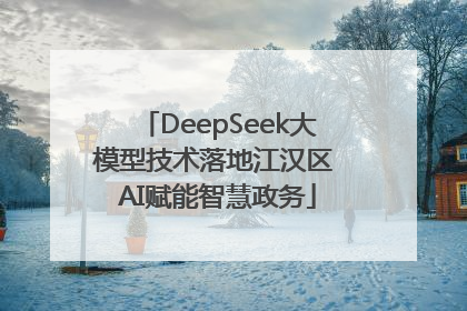 DeepSeek大模型技术落地江汉区 AI赋能智慧政务