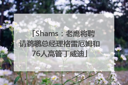 Shams：老鹰将聘请鹈鹕总经理格雷厄姆和76人高管丁威迪