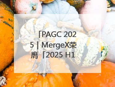 PAGC 2025｜MergeX荣膺「2025 H1 出海新势力奖」