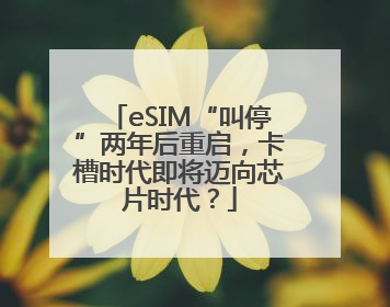 eSIM“叫停”两年后重启，卡槽时代即将迈向芯片时代？